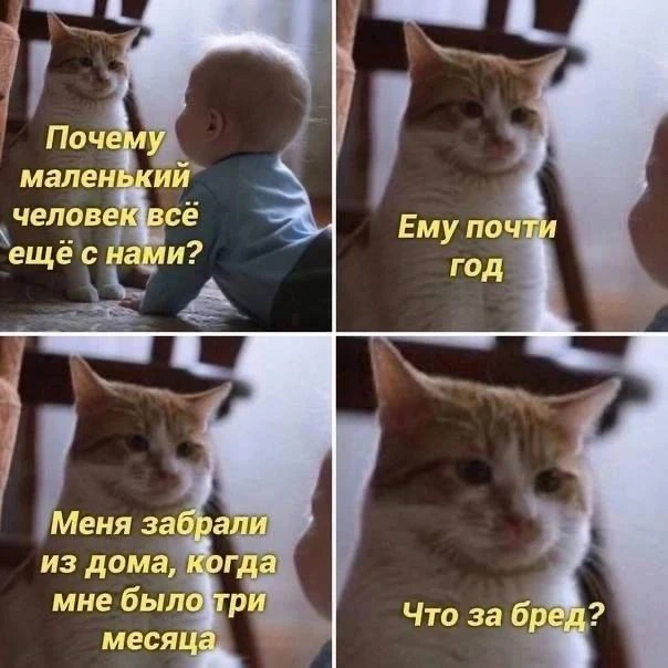 Немного мамского юмора в канал 😅💫