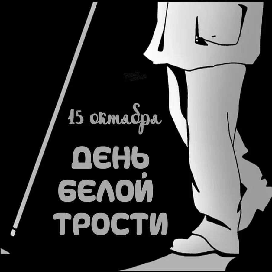🦯 15 октября — Международный день белой трости.