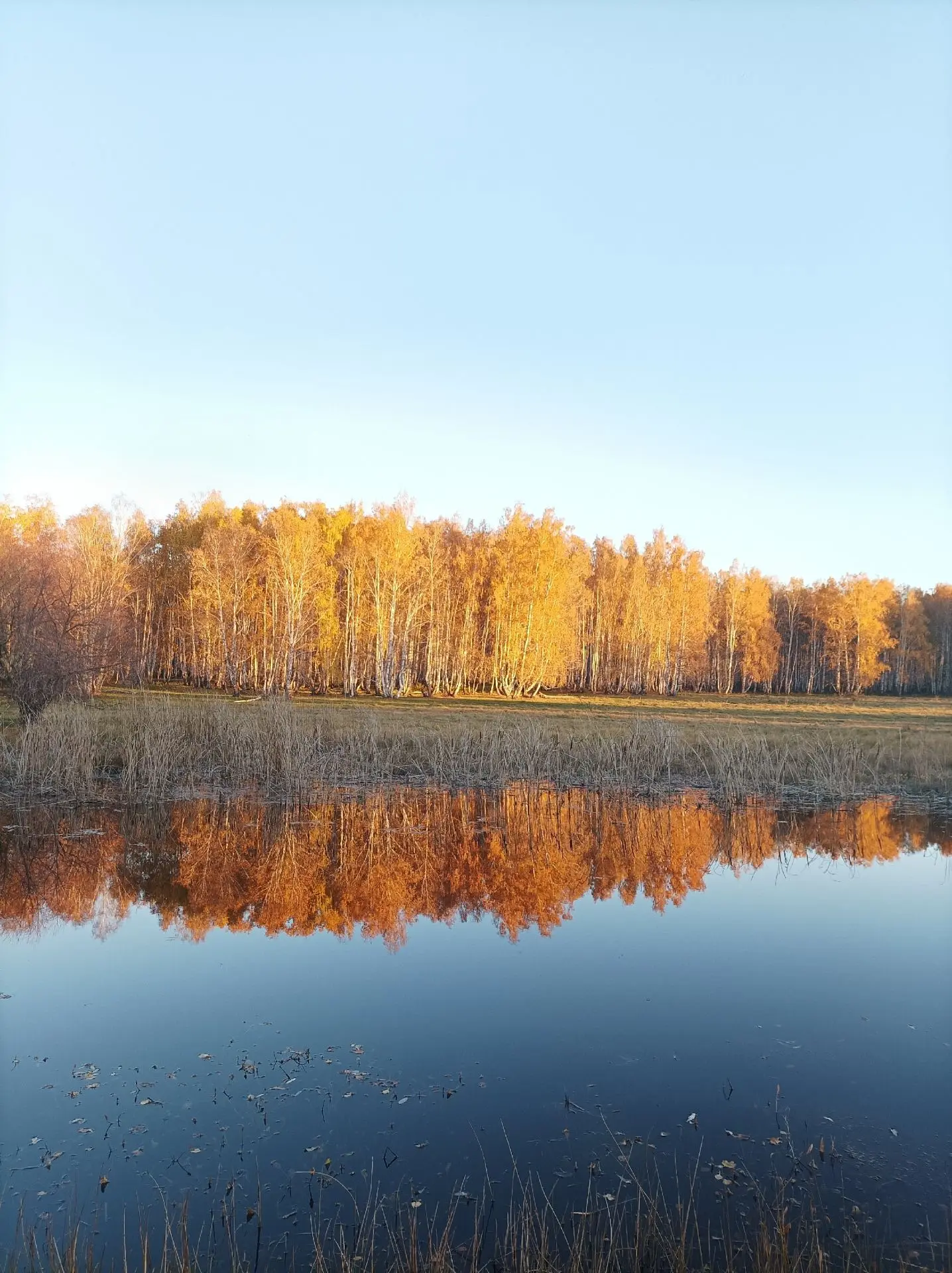☀️Башҡортостанға йәйге ҡояш кире ҡайтты