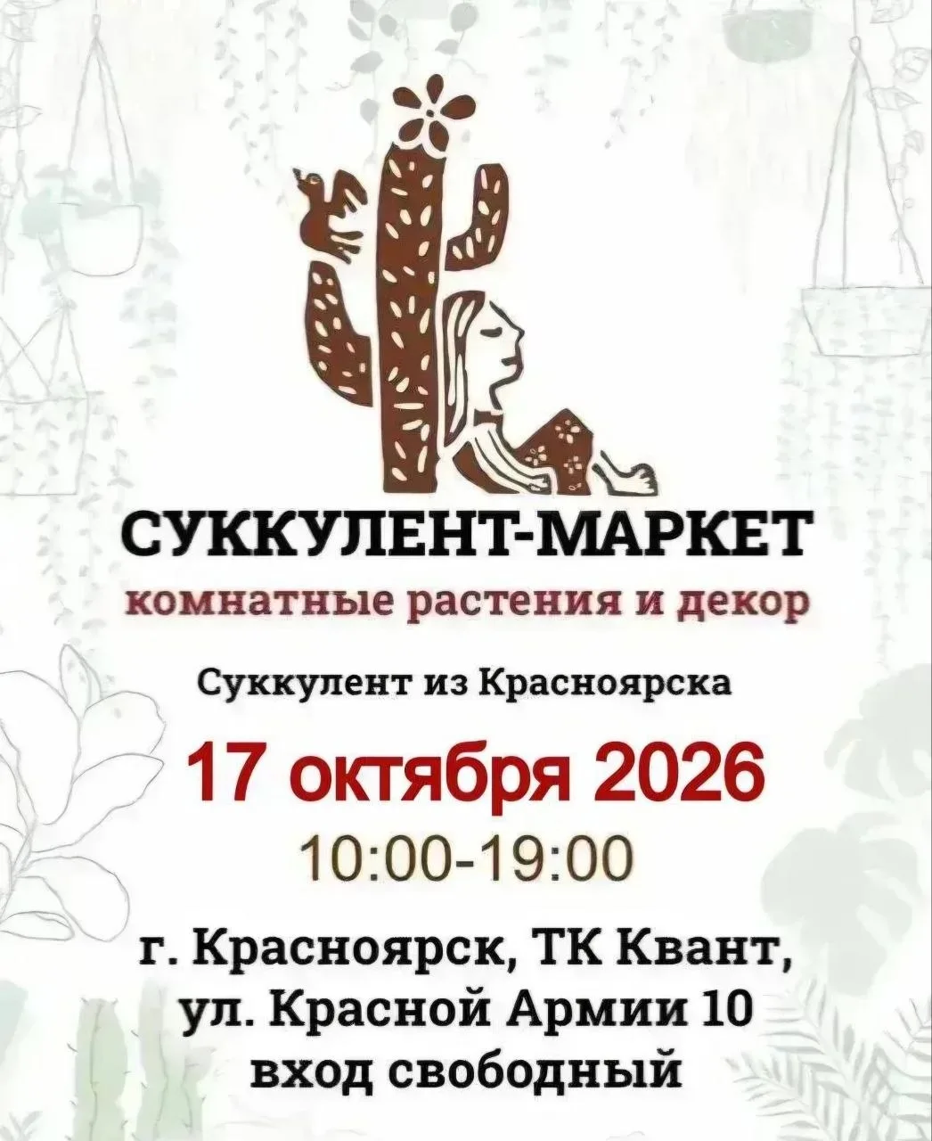 Суккулент- маркет комнатных растений и декора