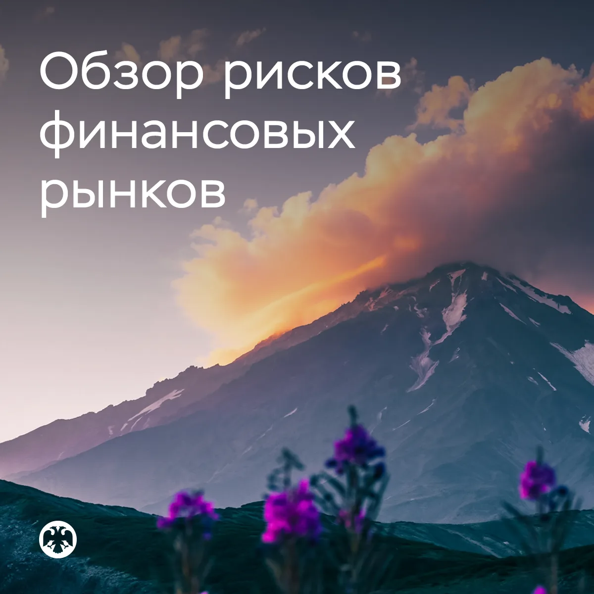 #ОбзорРисков