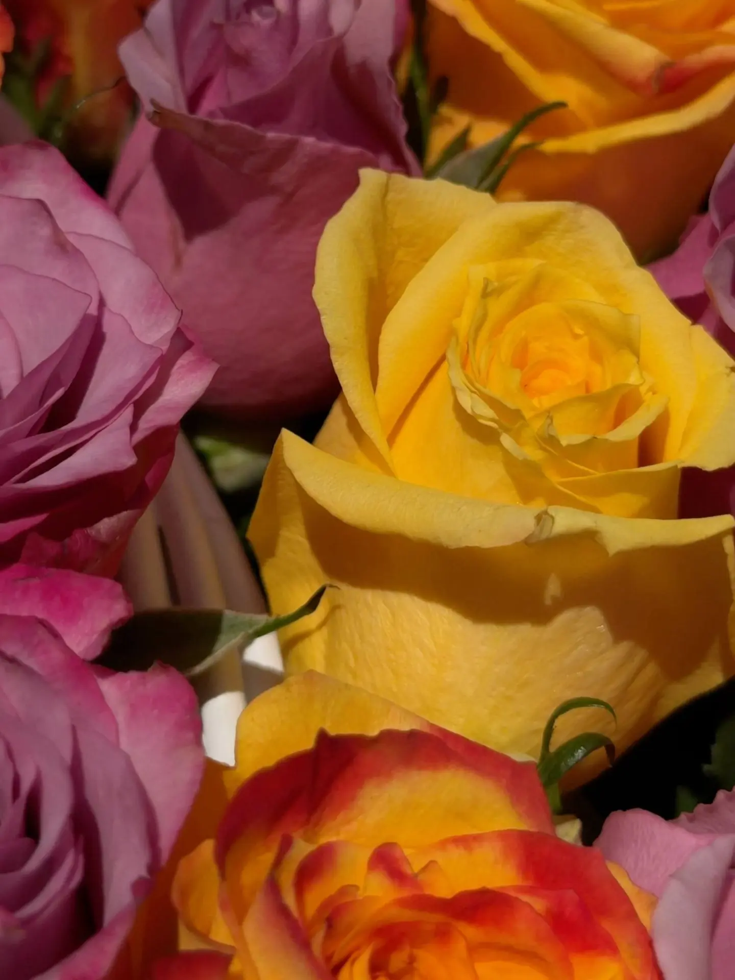 🌹 Яркие эмоции в одной корзине! 💛💜