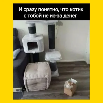Полный Хохотамбл! Подпишись скорее