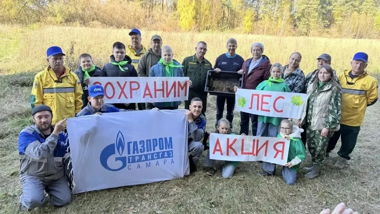 Первые города Кузнецка, вместе с сотрудниками Кузнецкого лесничества восстанавливают лес.
