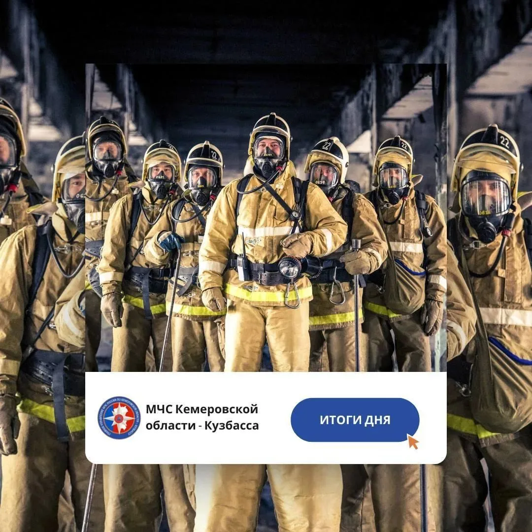 За дежурные сутки