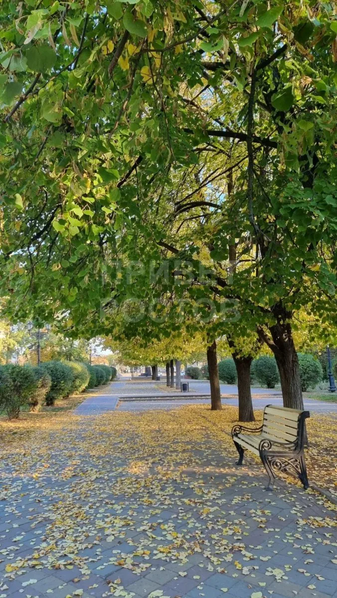 Осенний прикид ростовских парков 🍁