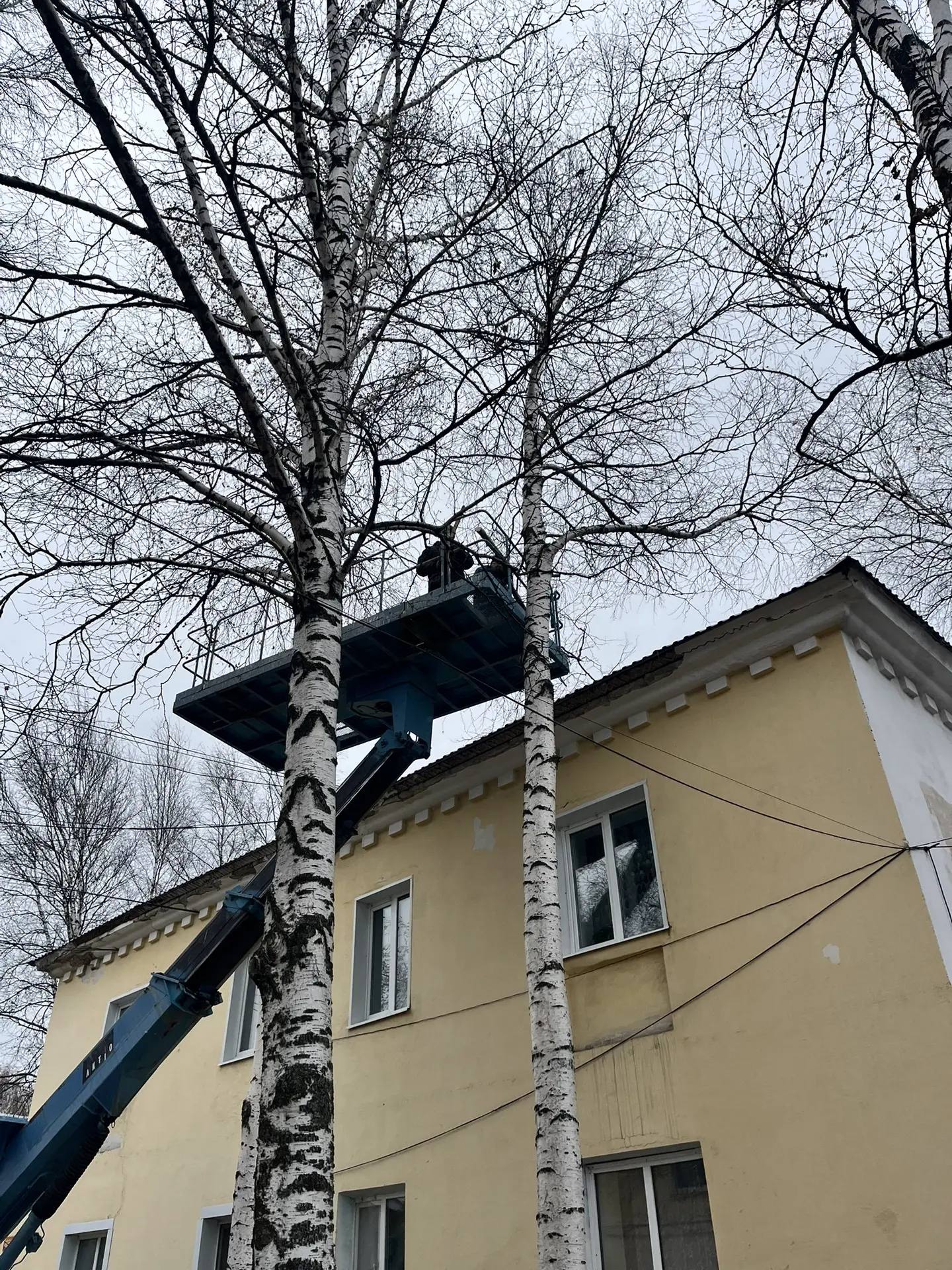 Санитарная обрезка веток по адресу ул.Лазо,д.28