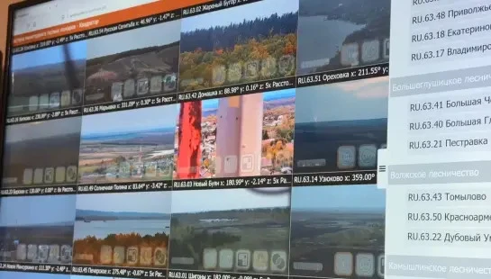 У границ леса в Самарской области остановили гигантский ландшафтный пожар