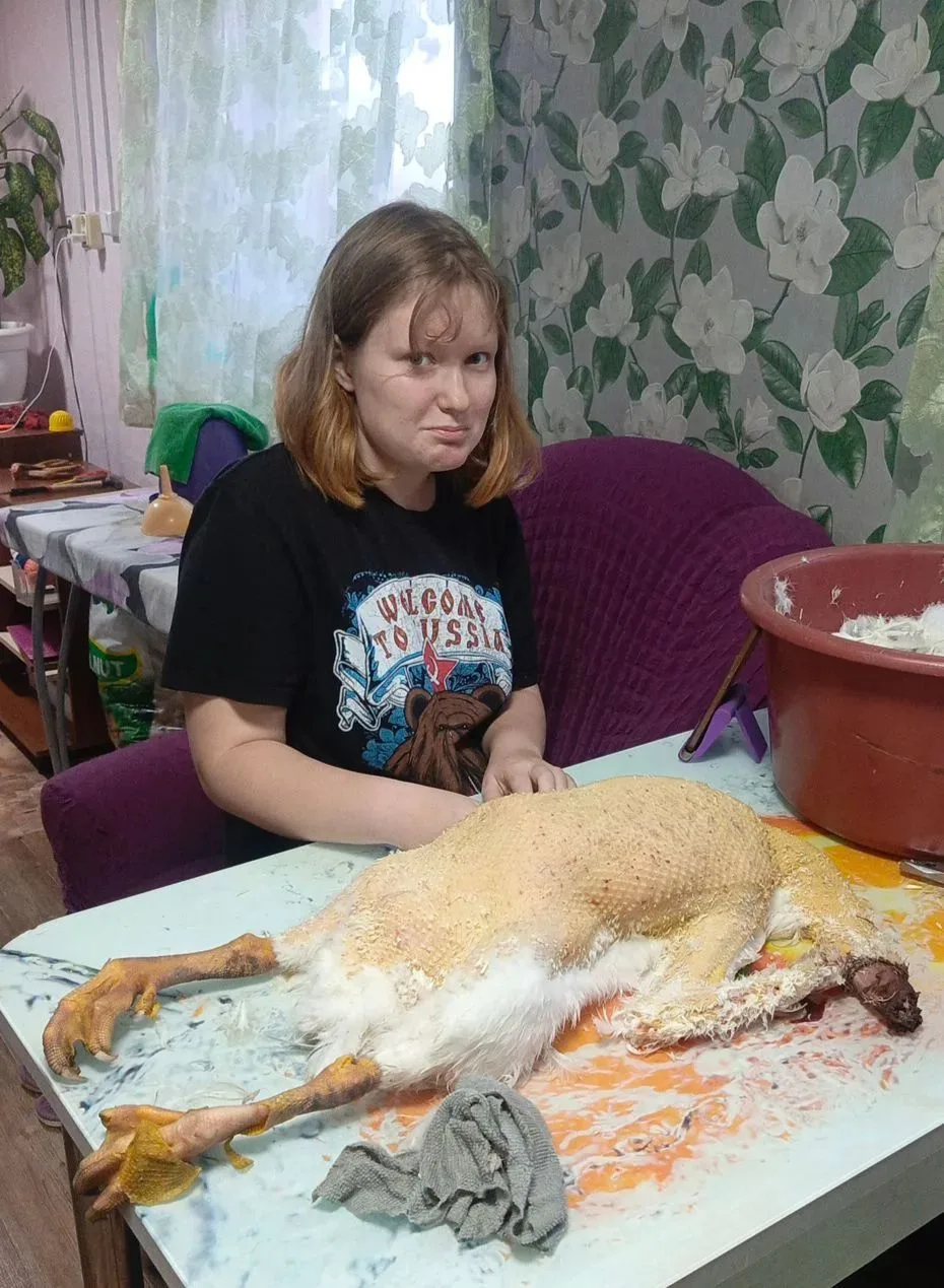 Начали гусей убирать.