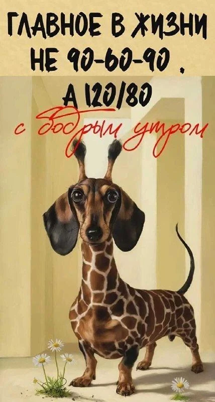 - И что же будет дальше?