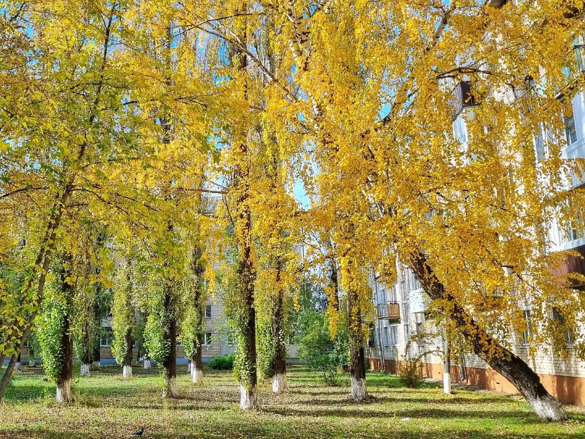 🌤 Доброе утро, любимый город!