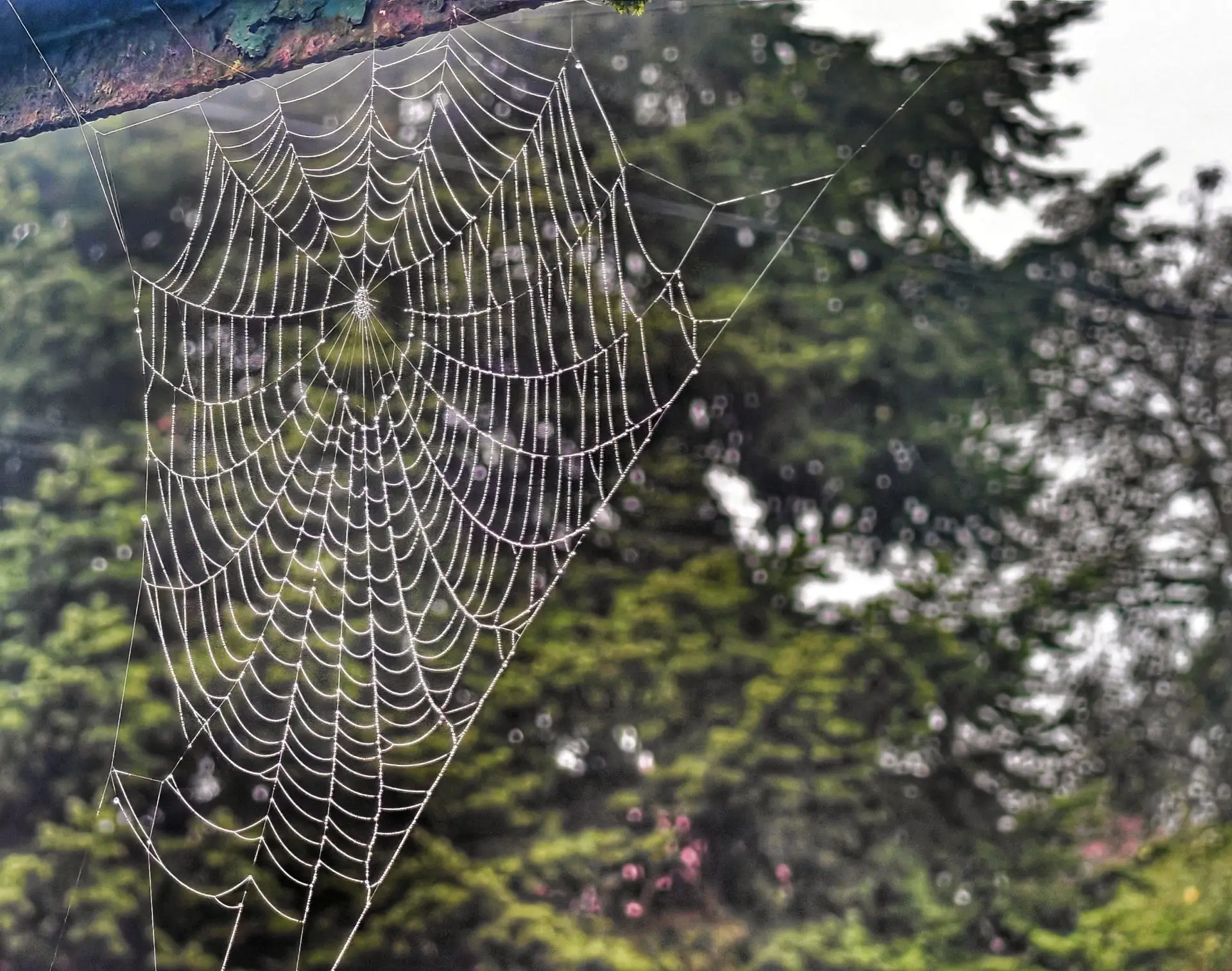 Доброго осеннего 🍂 утра !!!