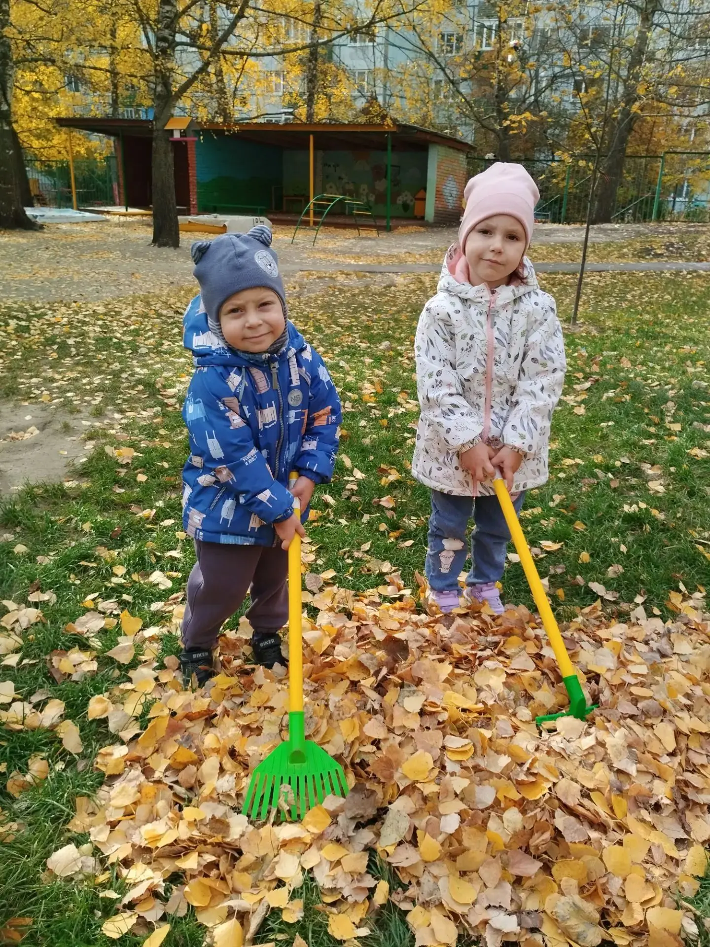 🍂🪠Осенние хлопоты! 🍁🧹