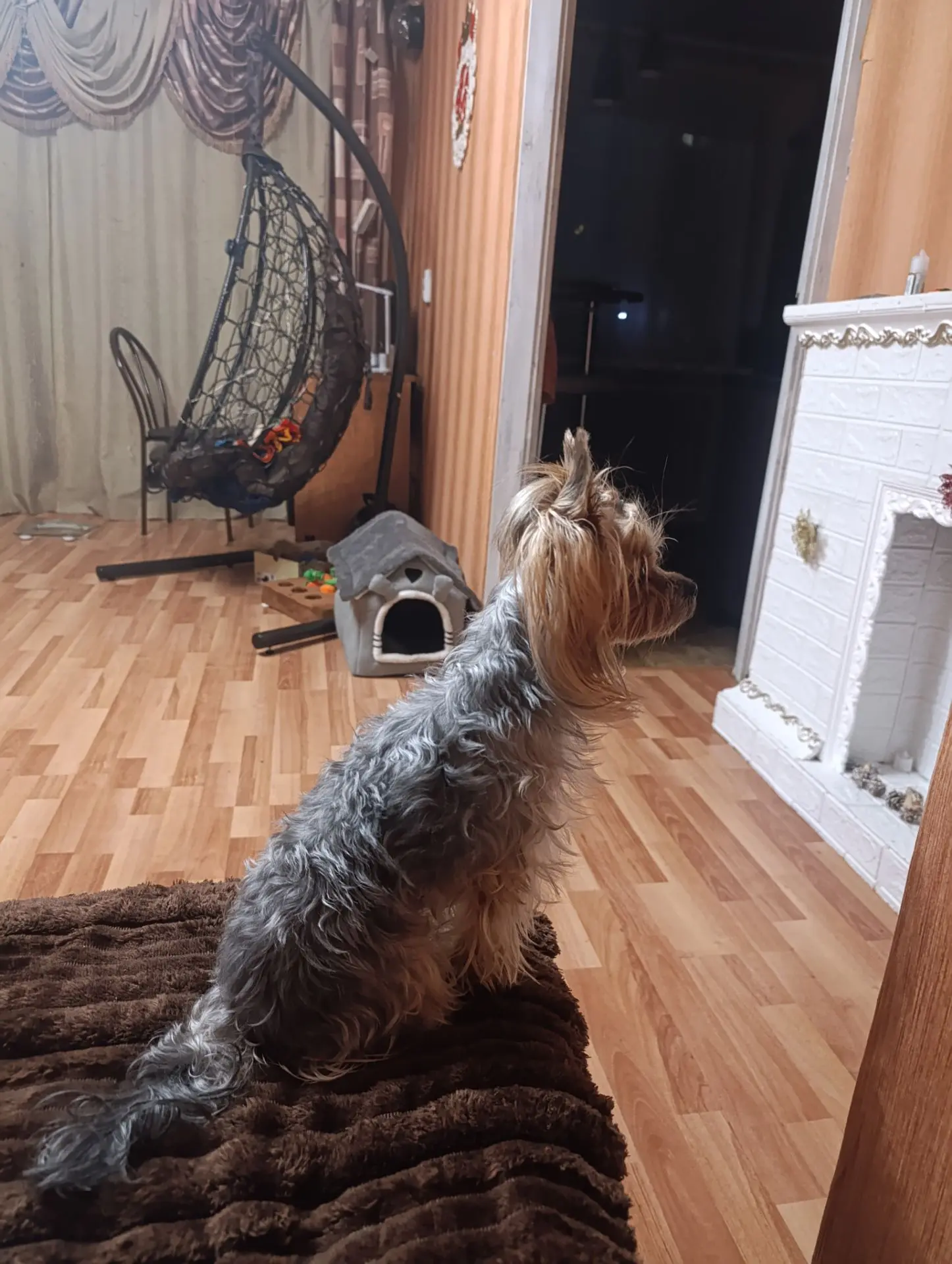 Сидит папу с работы ждёт 😁🤭