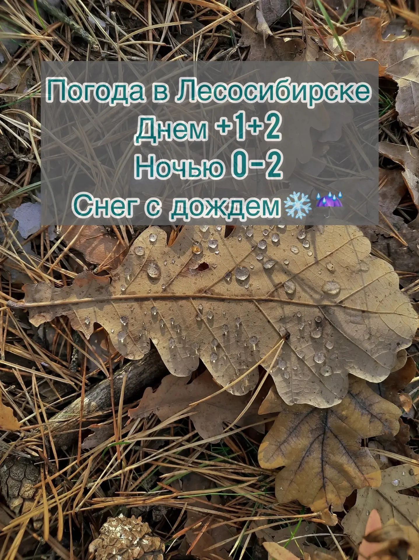 ☀️Доброе утро, друзья!