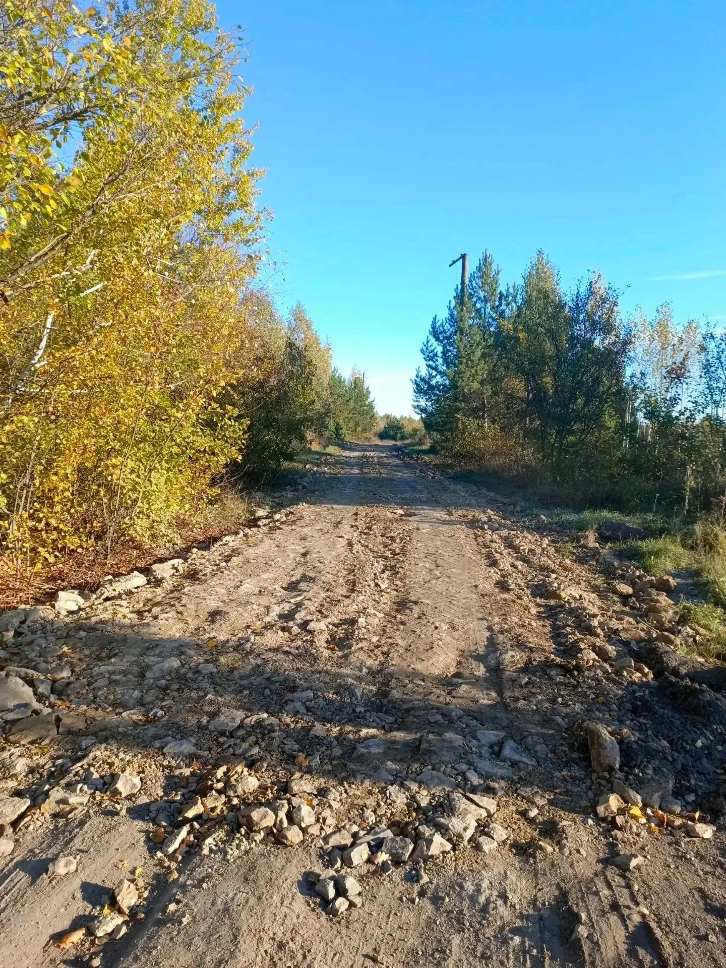 В посёлке Шарлово Вешкаймского района выполнены работы по отсыпке и грейдированию участ...
