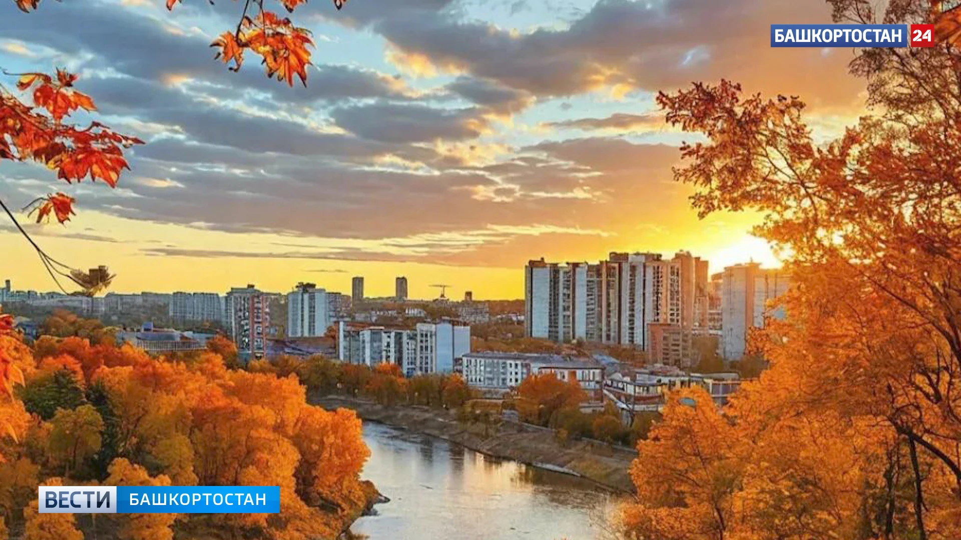 В Башкирии 11 октября днем пройдет небольшой дождь и потеплеет до +19°