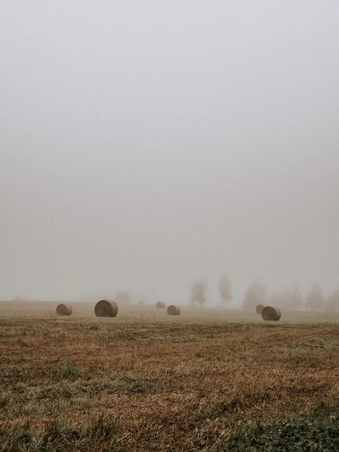 🌾 Поля в октябре