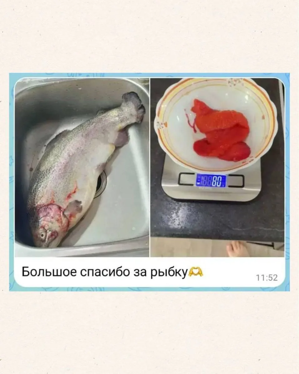 🐟 Форель уже попадается с икрой - приятный бонус к вашей покупке!