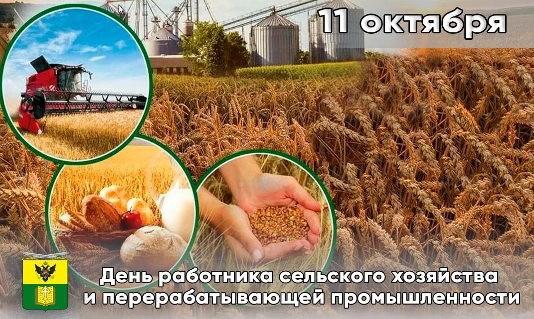 Сегодня в России отмечается День работника сельского хозяйства и перерабатывающей промы...