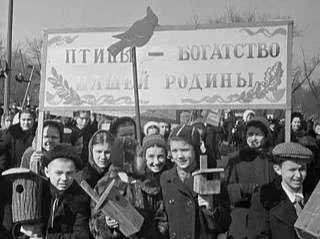 🐦 Как Москва устроила праздник для птиц