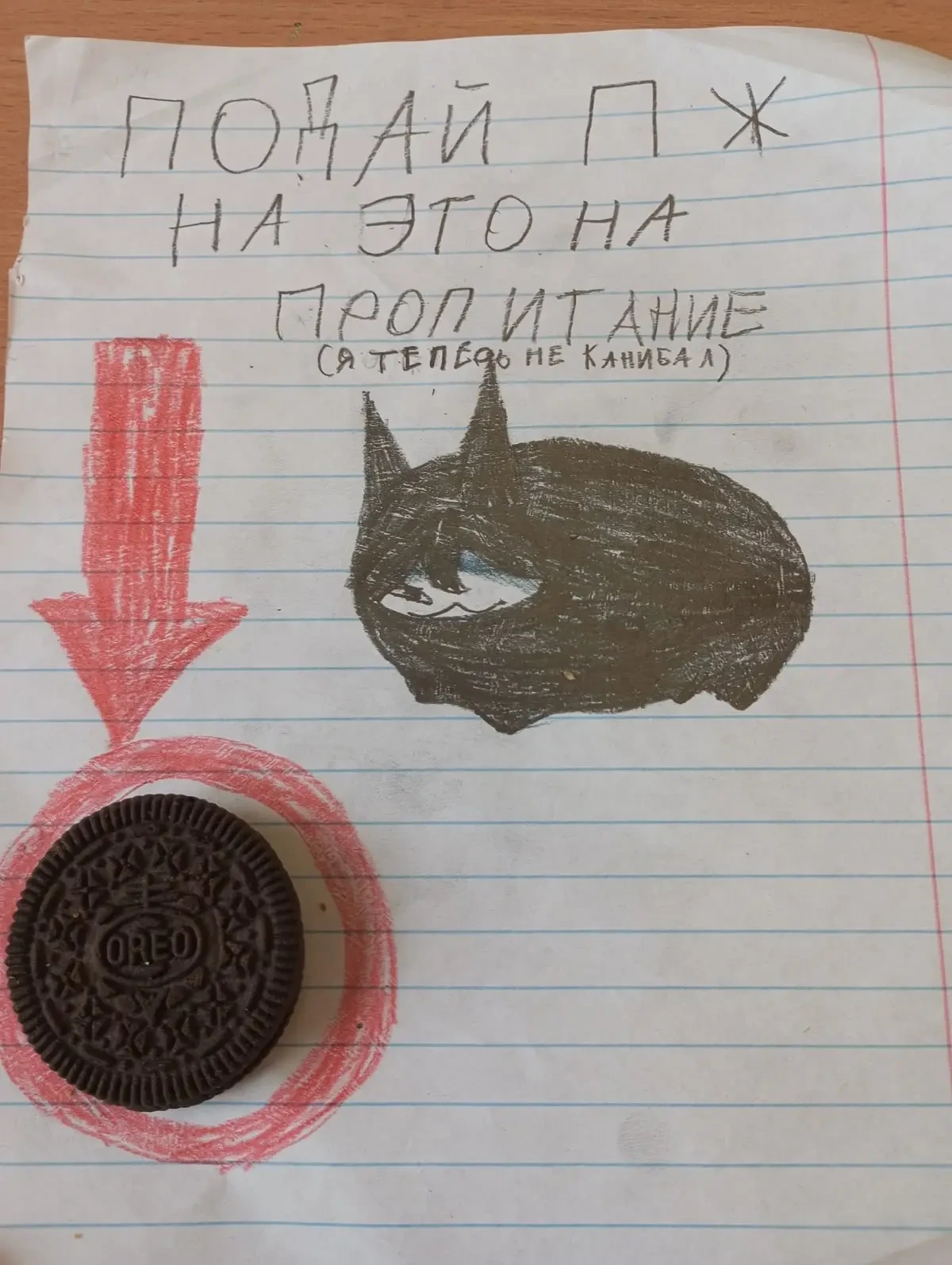 Все наши каналы