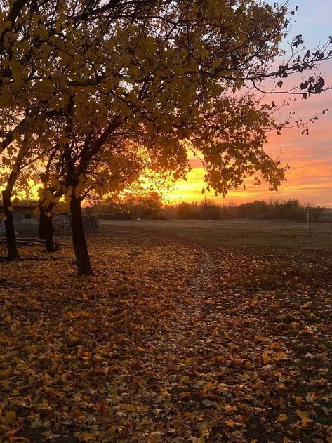 ☀️ Погода в Сибае