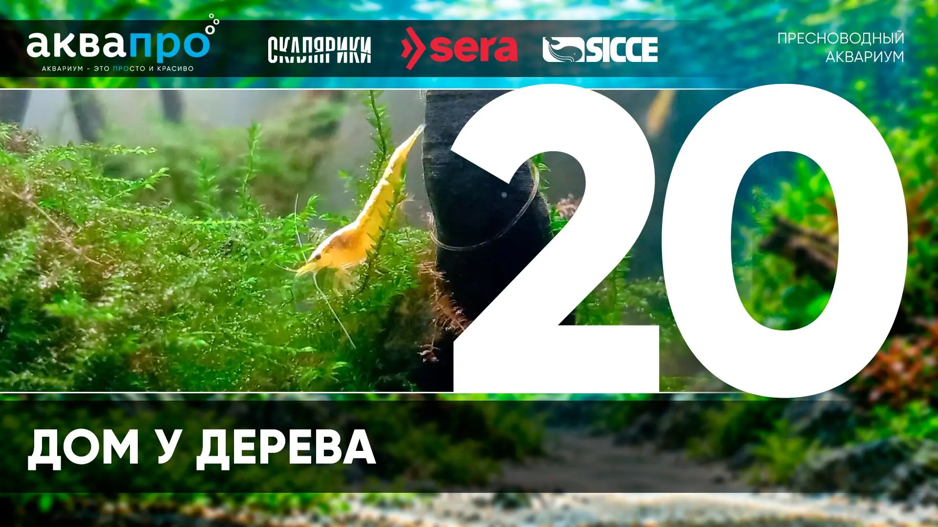 Фамилия Имя Отчество: Карамышева Карина Григорьевна