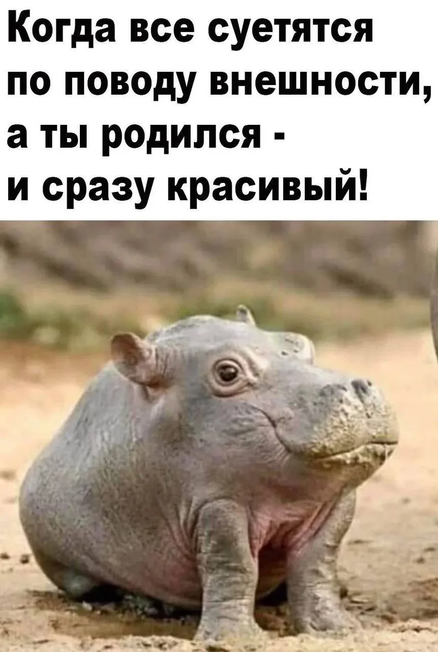 Понравился контент? Подпишись на наш второй канал MAXимально вкусно!