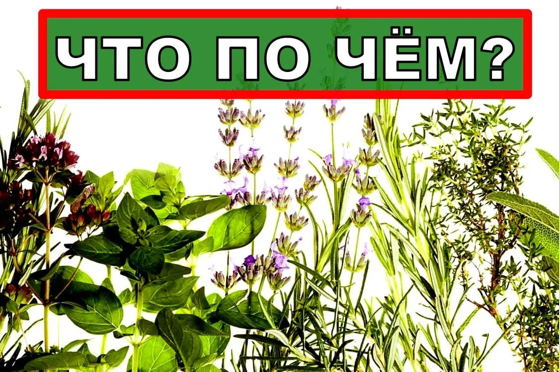 Ну и напоминаю вам, про  полезности , которые я сделала для вашего здоровья. Буду посте...