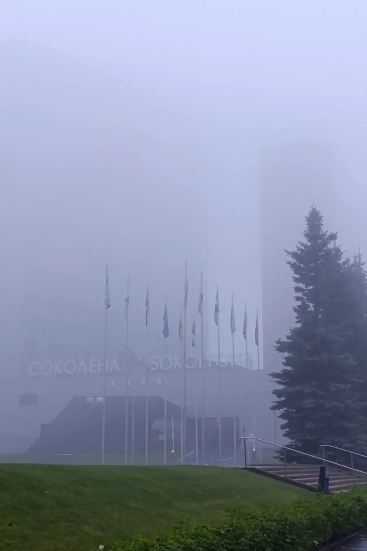 Доброе туманное утро😊