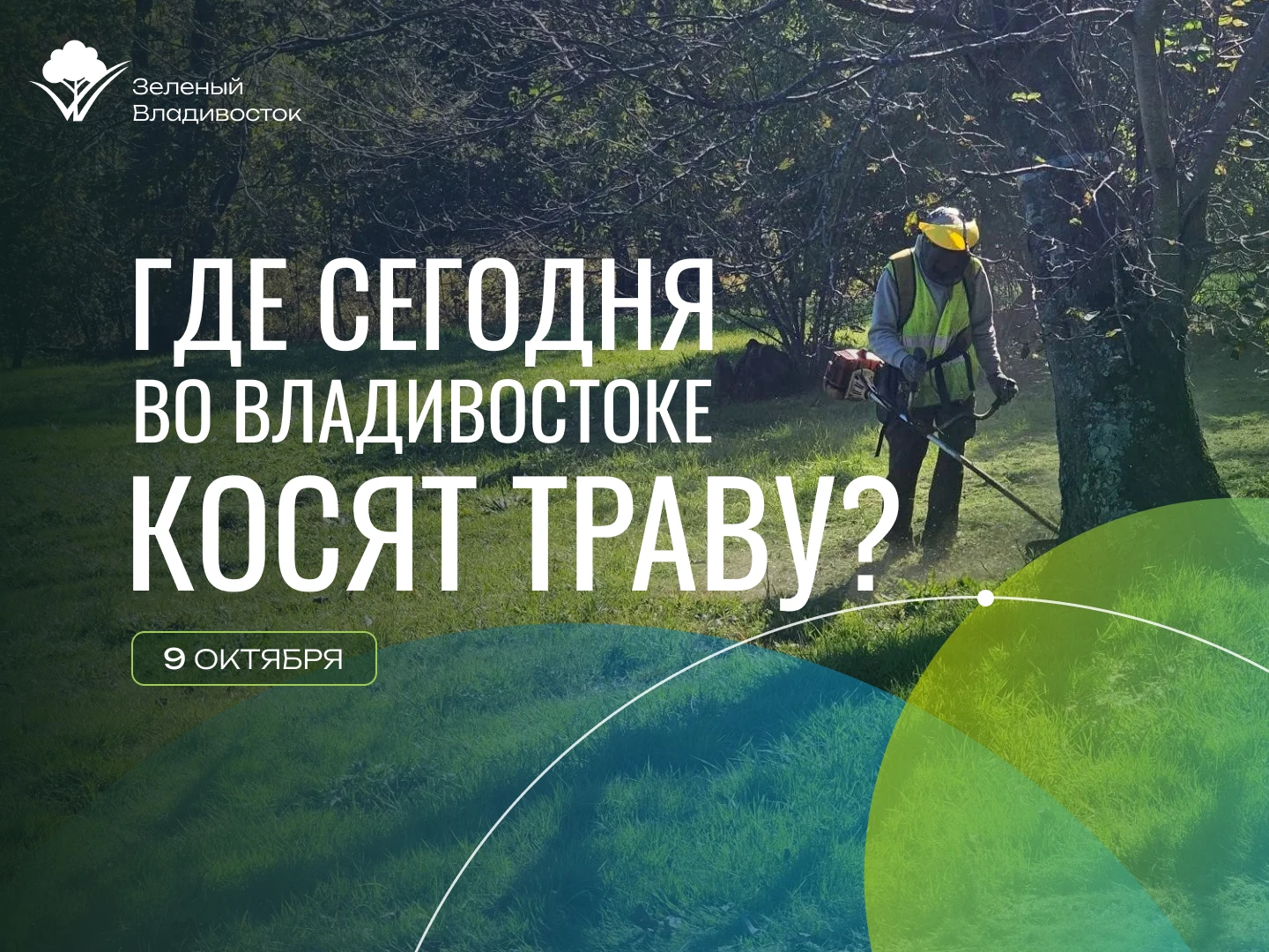 ✅Наши бригады совместно с подрядными организациями ежедневно выкашивают, сгребают и выв...