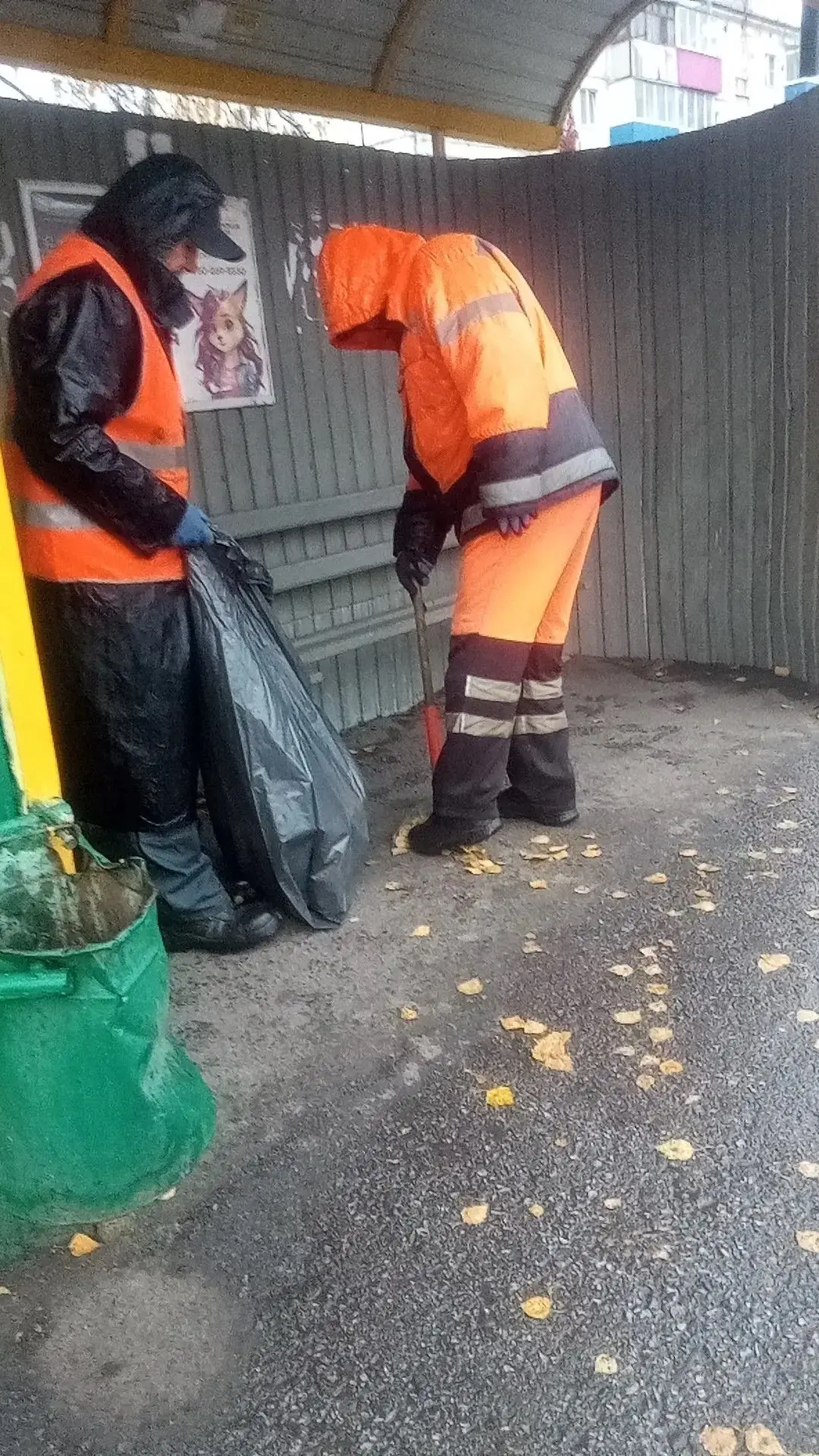 Дорогие друзья!