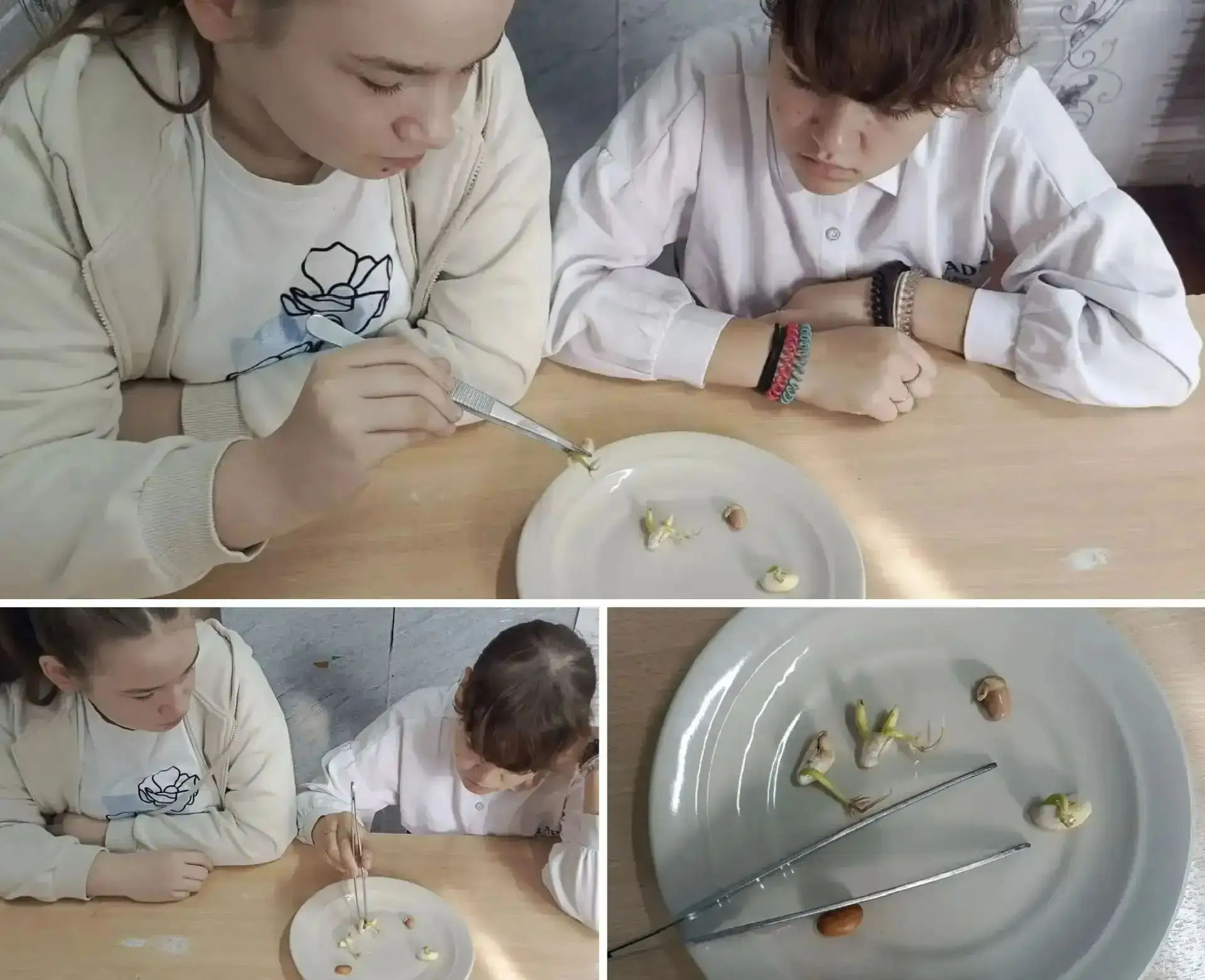 Среди учащихся шестого класса прошел