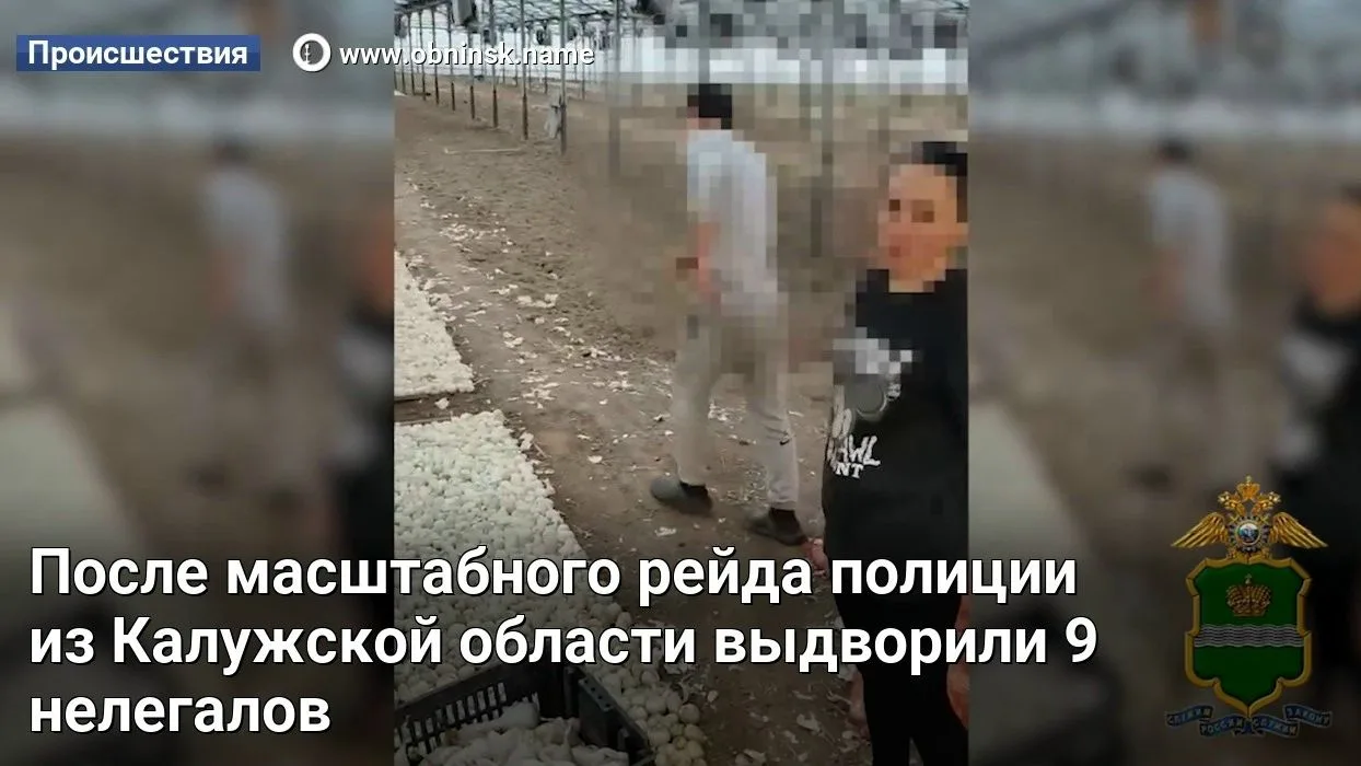 После масштабного рейда полиции из Калужской области выдворили 9 нелегалов. В Тарусском...