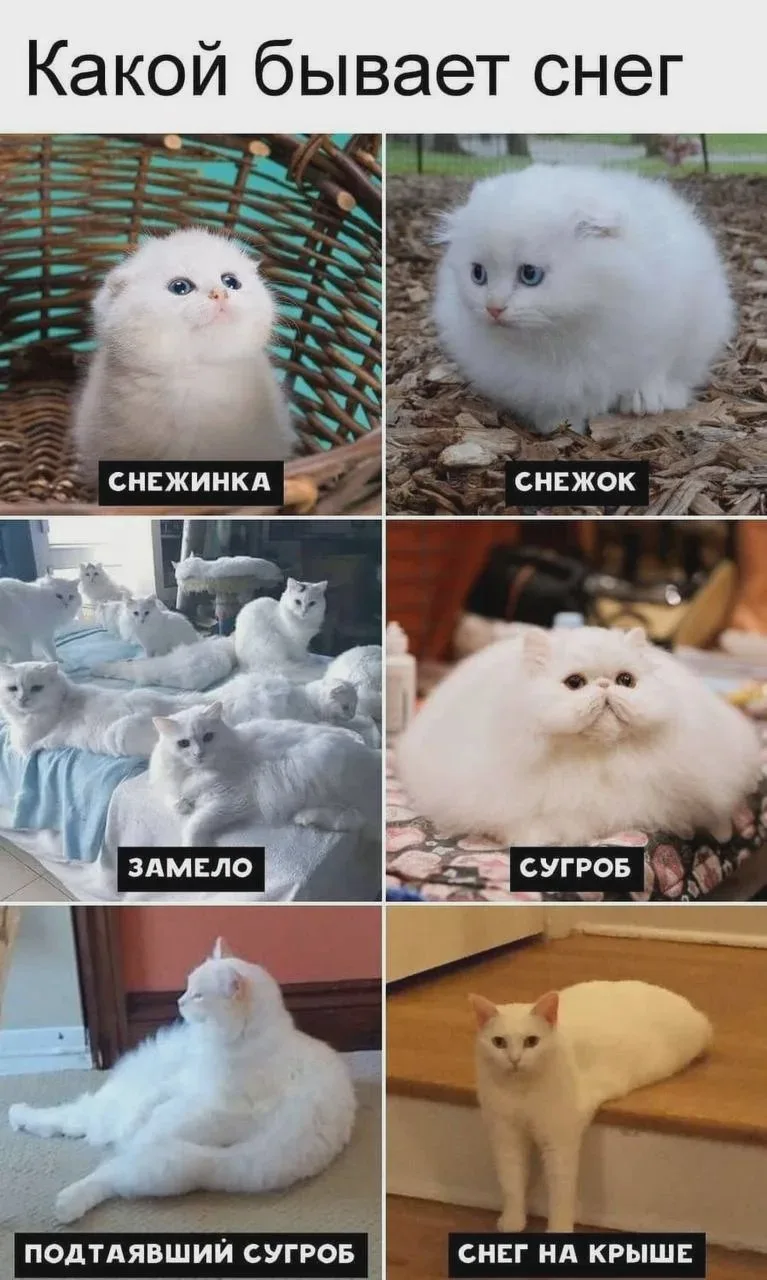 В Пермском крае похолодает