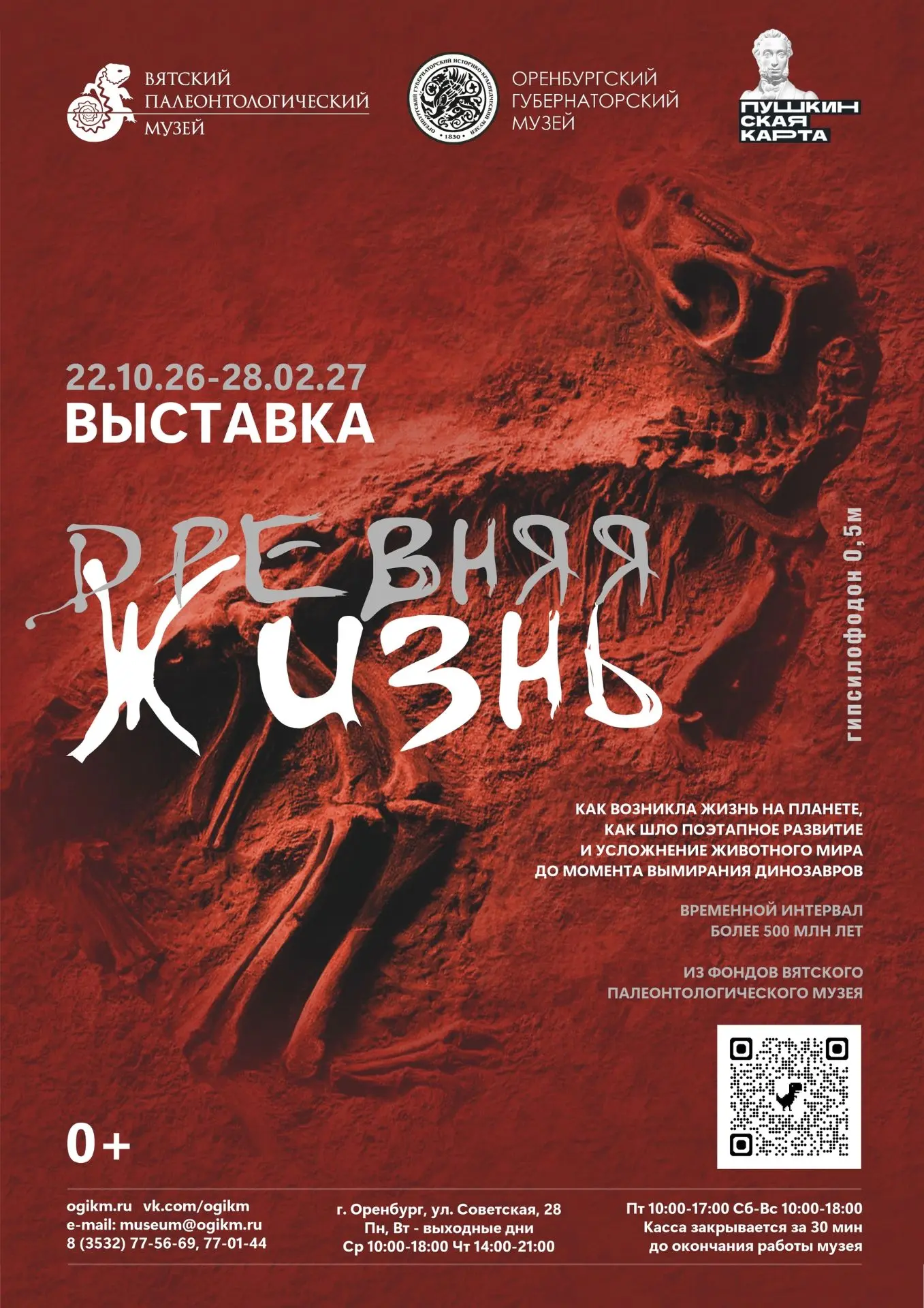 Внимание, Сызрань, мы сворачиваем "наши кости" 🙏