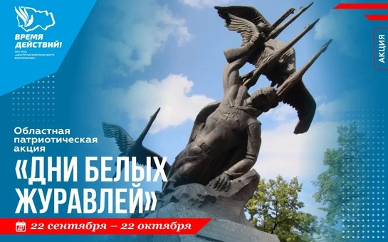 🕊️ Дни белых журавлей: новосибирцев приглашают к участию в акции памяти павших защитни...