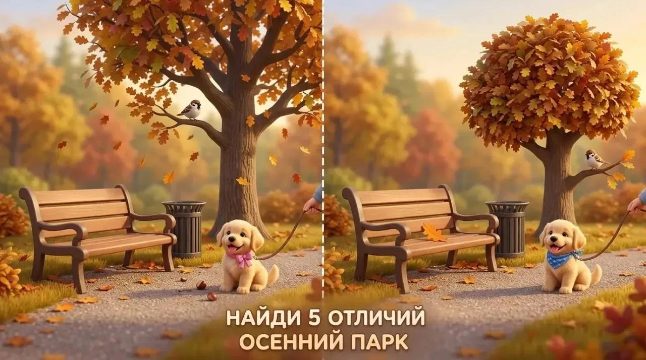 🍂 Как мягко и без стресса развивать память и внимание у ребёнка?