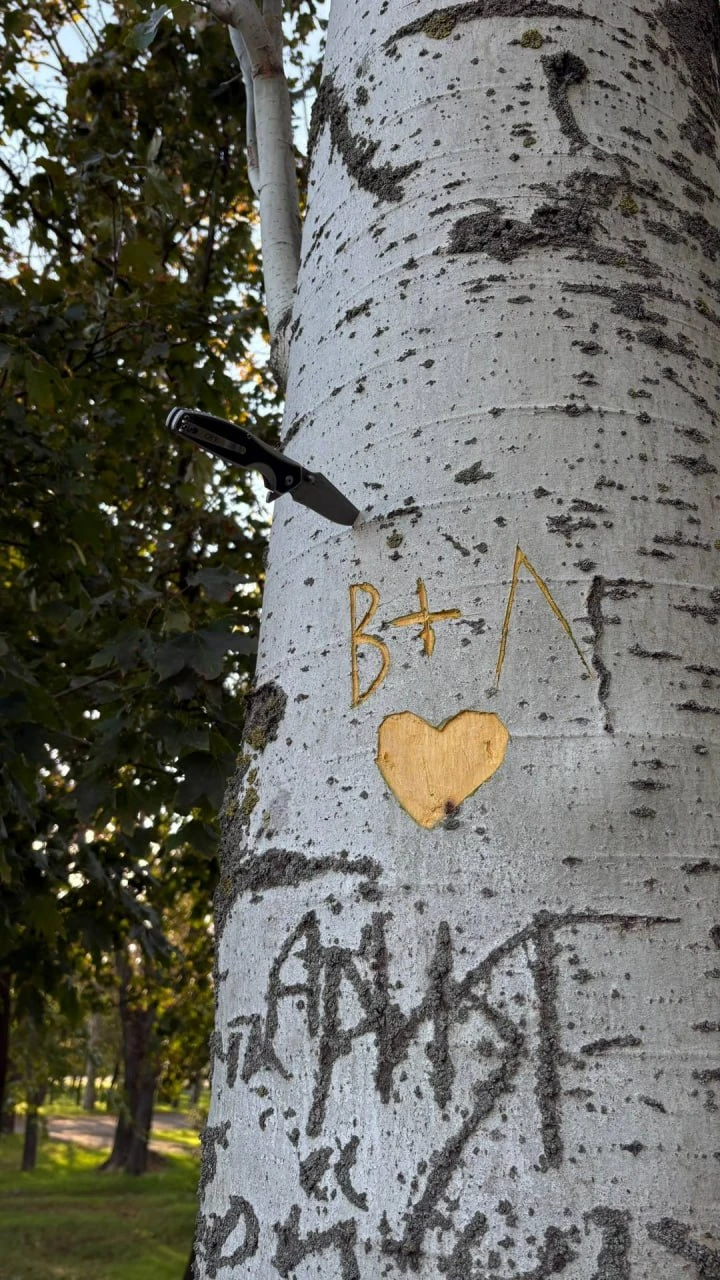 Город живёт ❤️