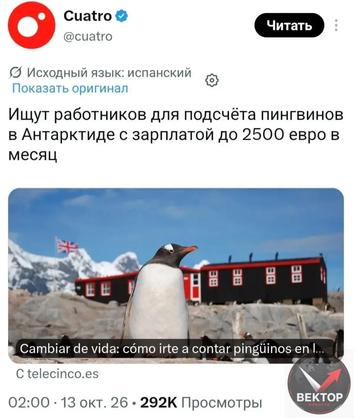 🐧 ВАКАНСИЯ МЕЧТЫ: В АНТАРКТИДУ ИЩУТ СМОТРИТЕЛЯ ПИНГВИНОВ