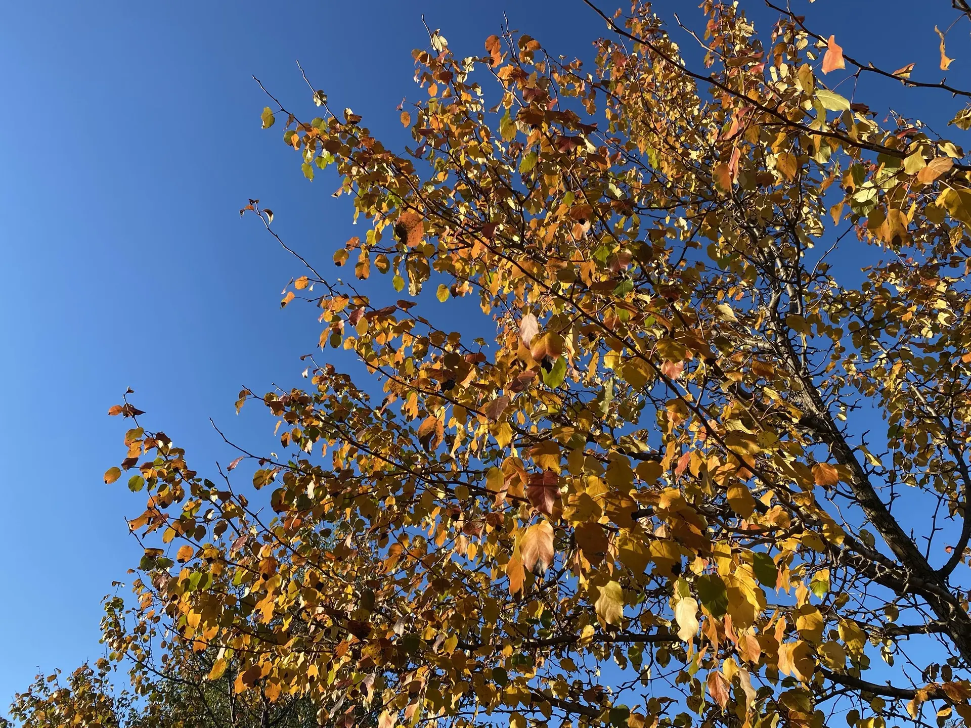 Готовы к теплу? ☀️