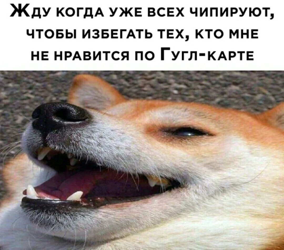 Идеально.