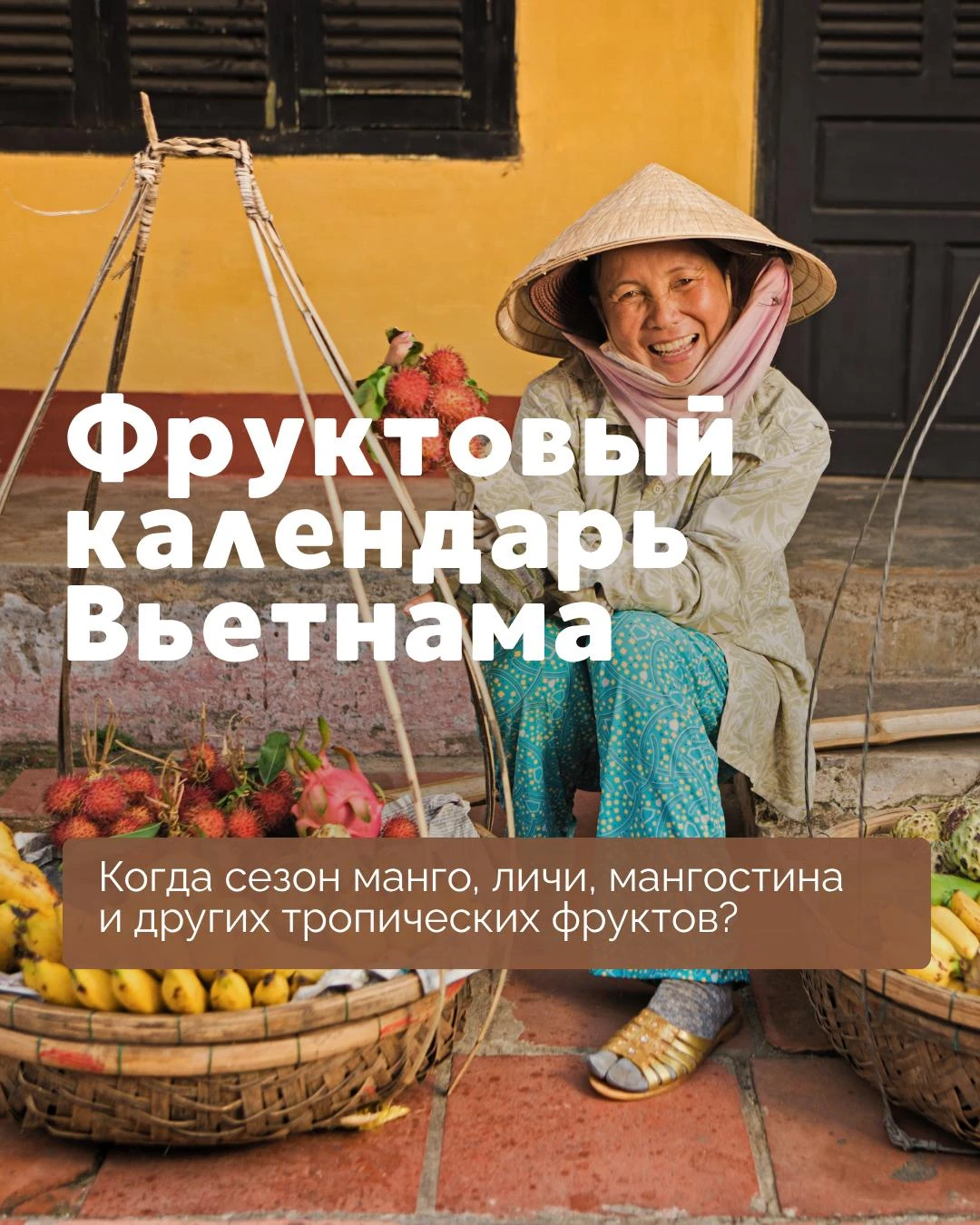 🍉🍓🥭🍍 Фруктовый календарь Вьетнама
