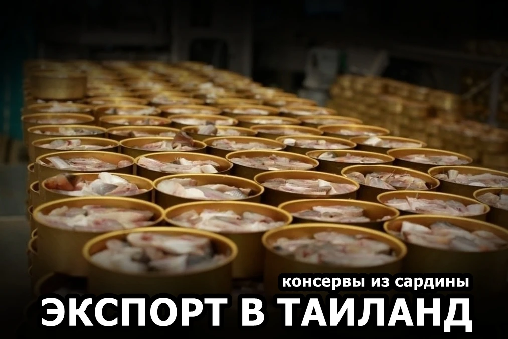 🐟 Россия впервые экспортировала консервы из сардины в Таиланд