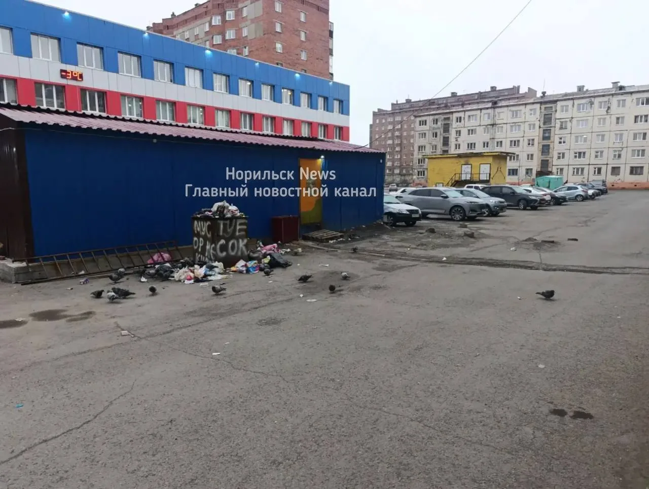 На Талнахской, 28 образовался настоящий свинарник. Возле дома стоит мусорный бак, котор...
