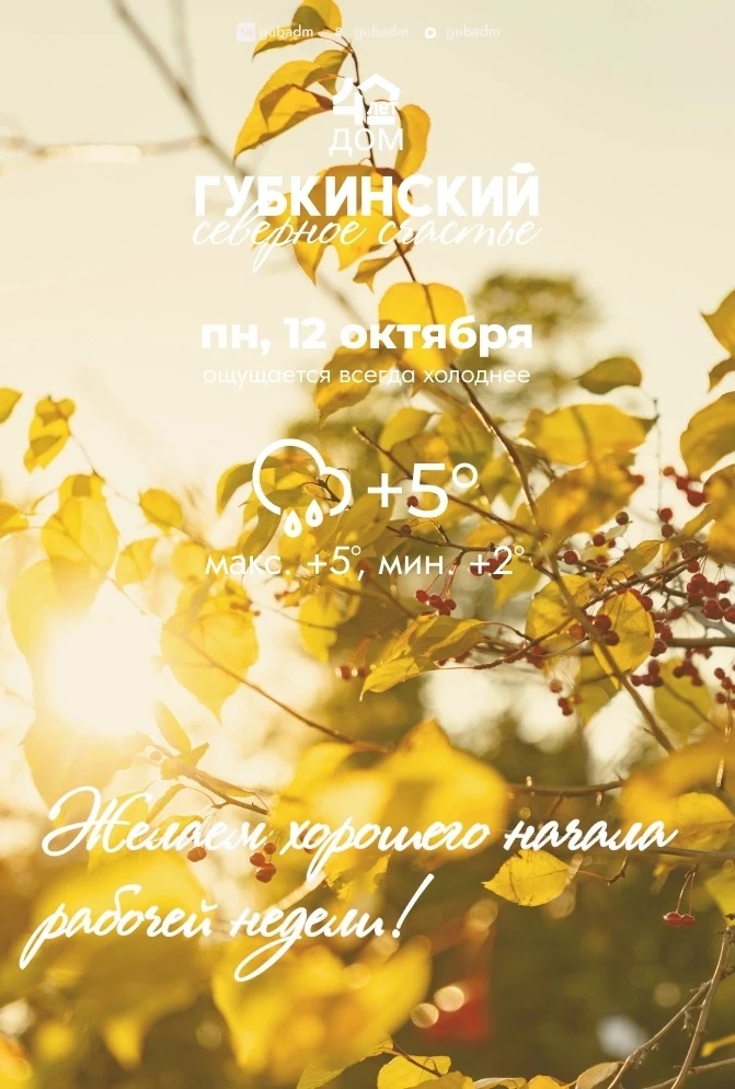 🍃Доброе утро, губкинцы!