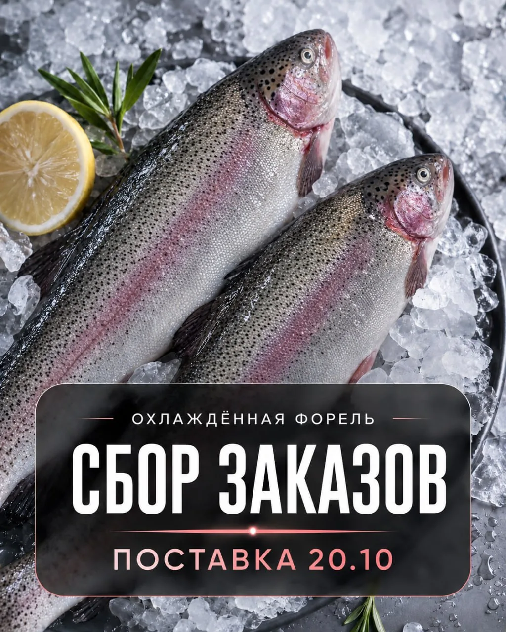 🤗Открываем сбор заказов на охлаждённую форель из Хакасии!