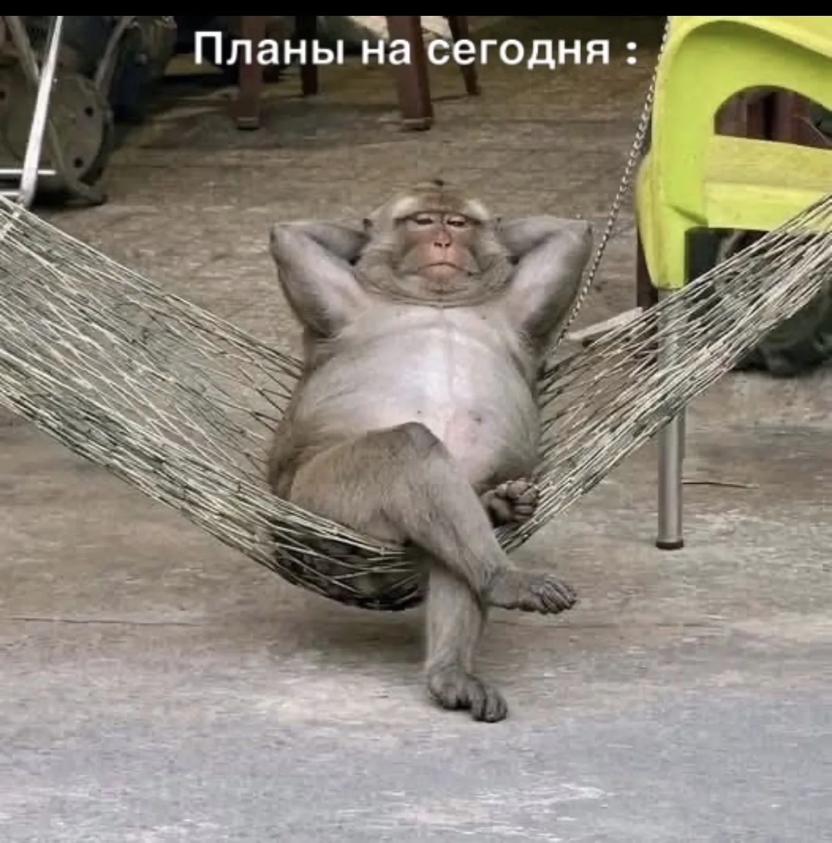 Так планирую сегодня отдыхать, а вы?🫶🏻