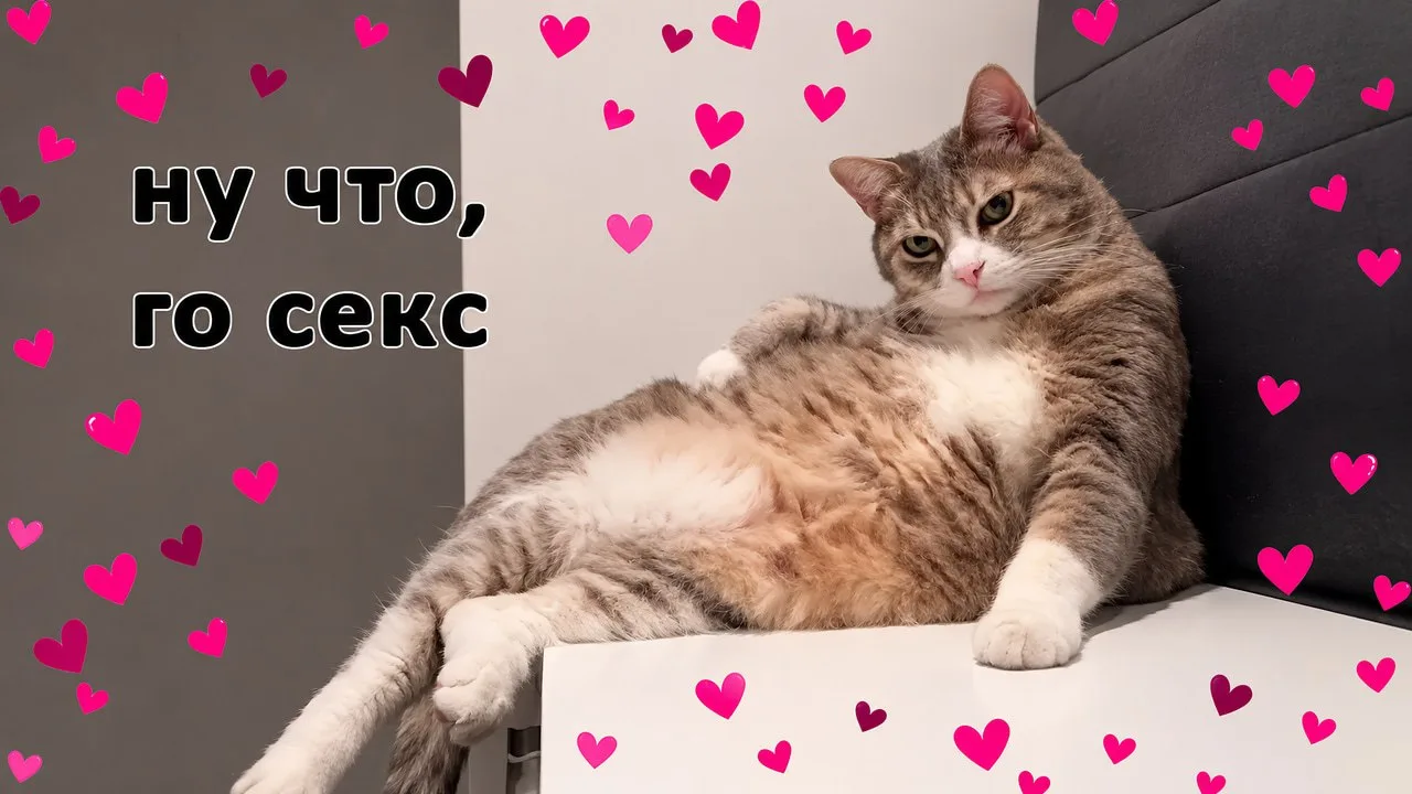 Сегодня отмечается Международный день согласия на секс